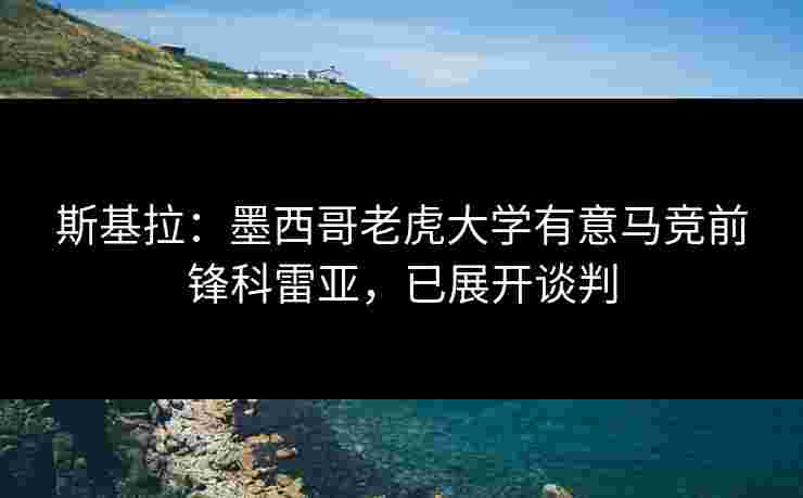 斯基拉：墨西哥老虎大学有意马竞前锋科雷亚，已展开谈判