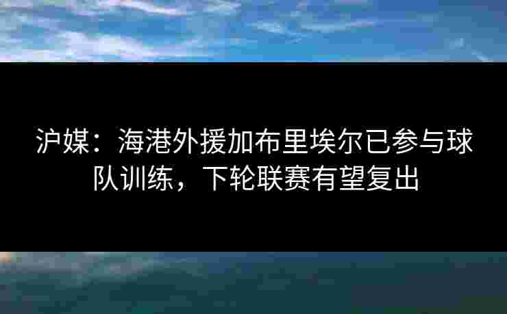沪媒：海港外援加布里埃尔已参与球队训练，下轮联赛有望复出