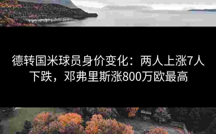 德转国米球员身价变化：两人上涨7人下跌，邓弗里斯涨800万欧最高