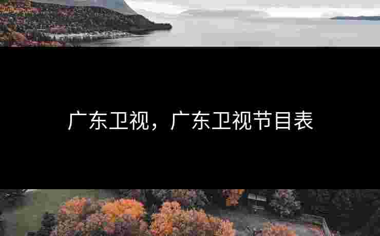 广东卫视，广东卫视节目表